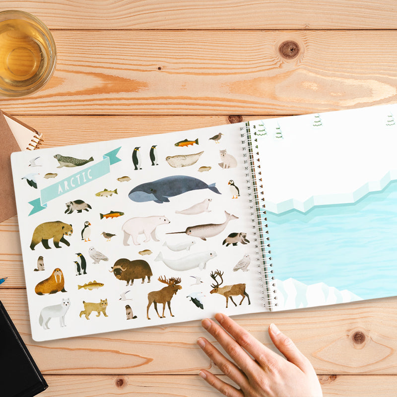 shuThe Sticker Book That Builds Attention Spans – A Hands-On Journey Through Nature