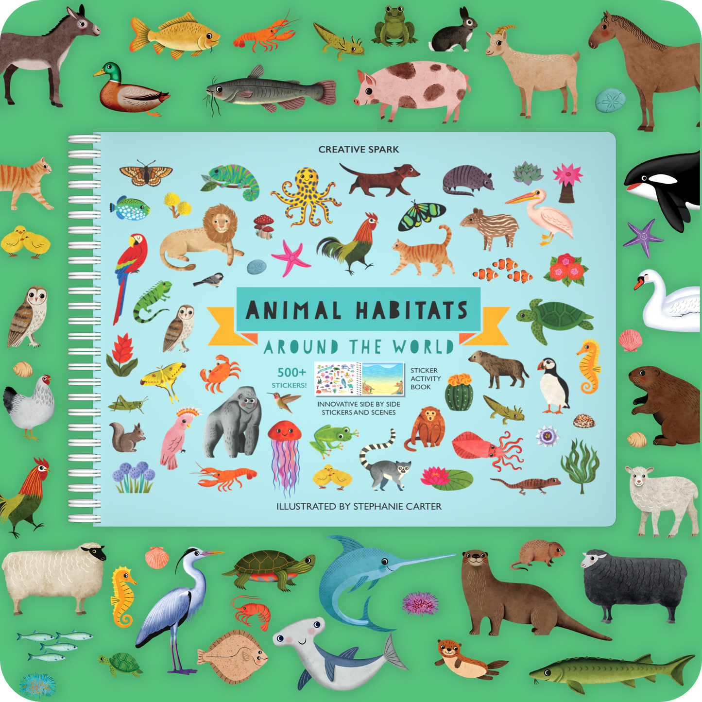 shuThe Sticker Book That Builds Attention Spans – A Hands-On Journey Through Nature