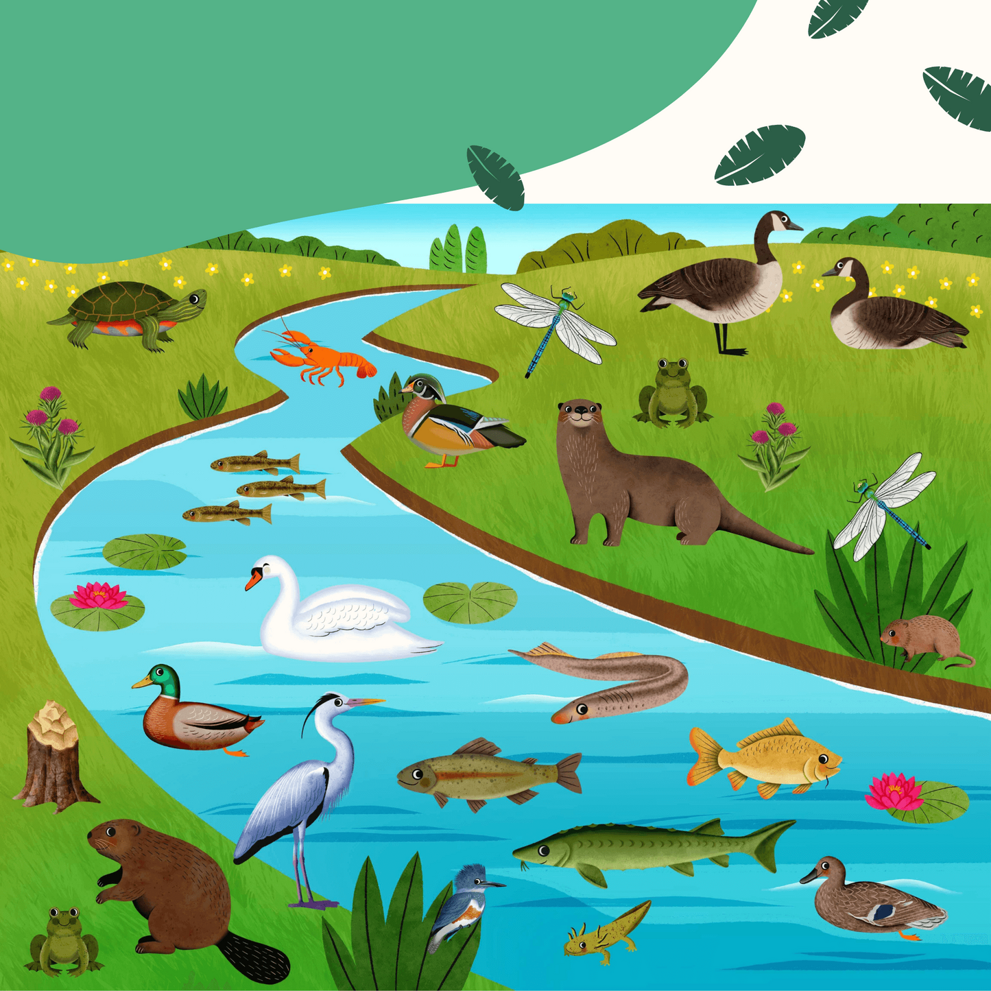 shuThe Sticker Book That Builds Attention Spans – A Hands-On Journey Through Nature