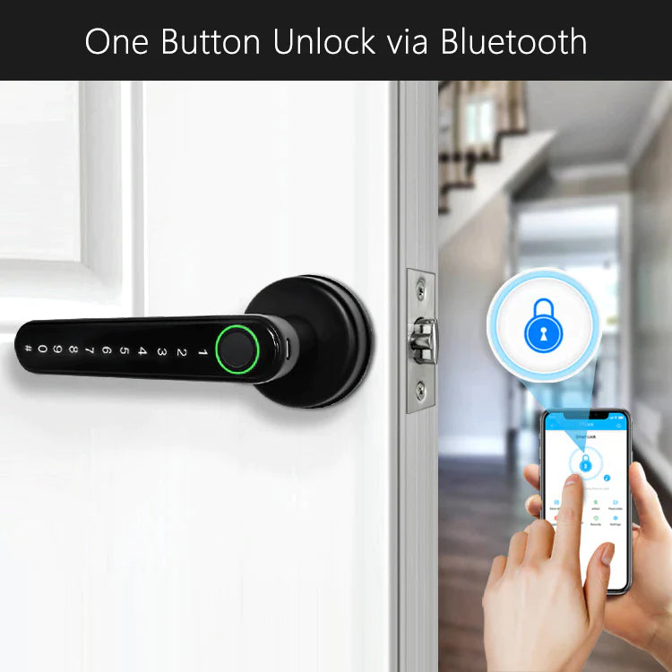 Fingerprint Door Handle