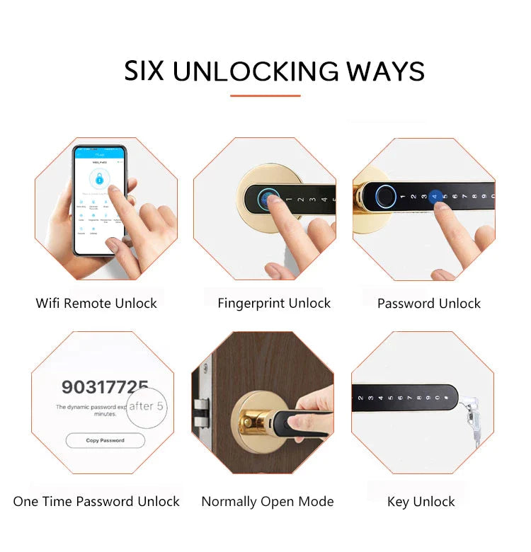 Fingerprint Door Handle