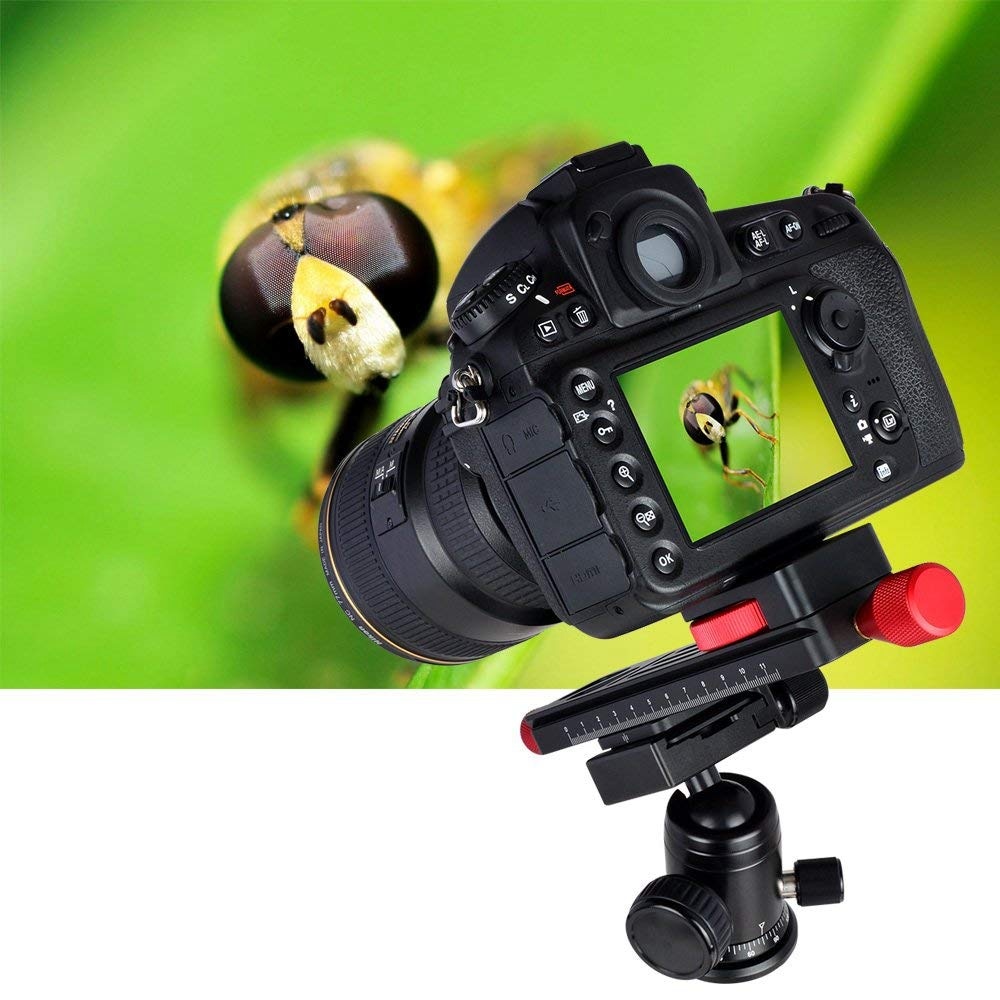 Wormdrive Macro Focusing Rail Slider