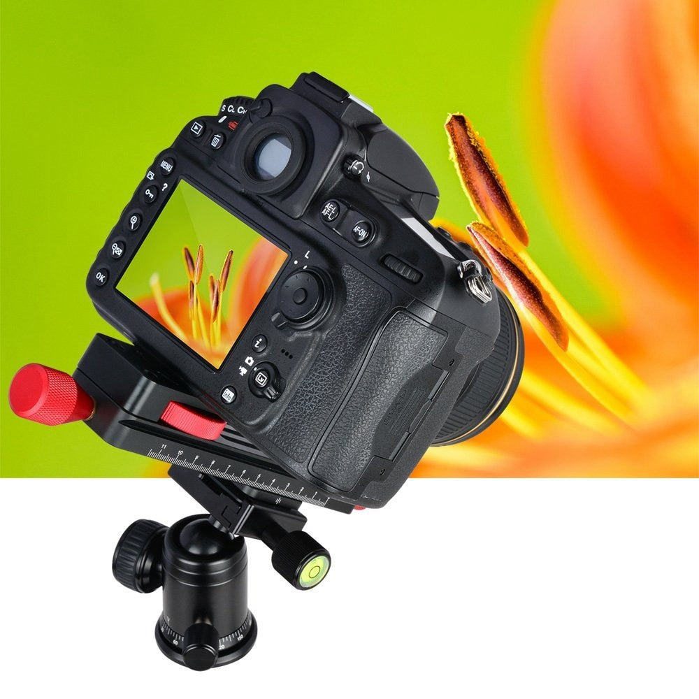 Wormdrive Macro Focusing Rail Slider