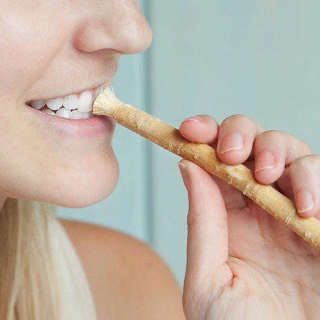 Miswak Toothbrush – Nature’s Original Toothbrush