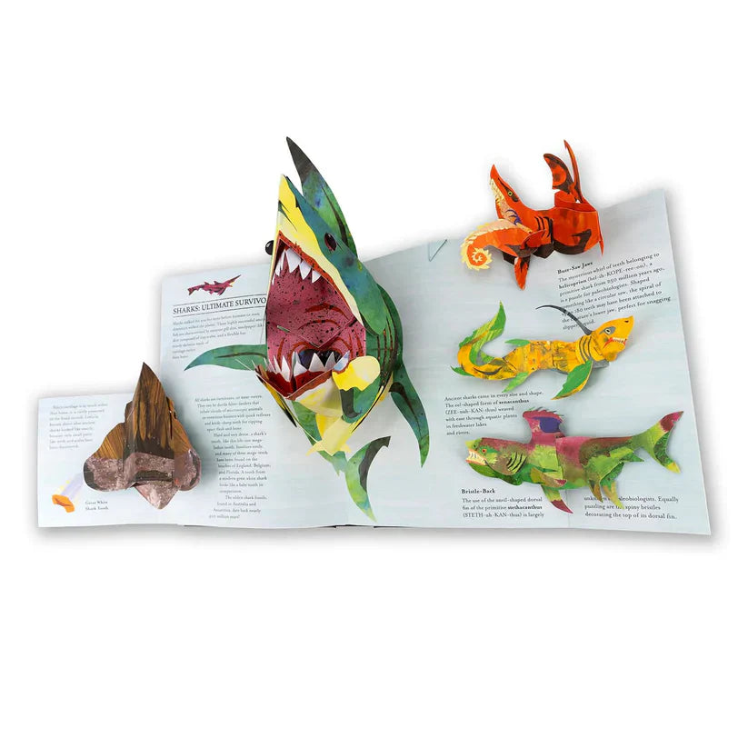 3D Encyclopedia Prehistorica Series - Dinosaurs + Sharks & Sea Monsters — Pop-Up Book