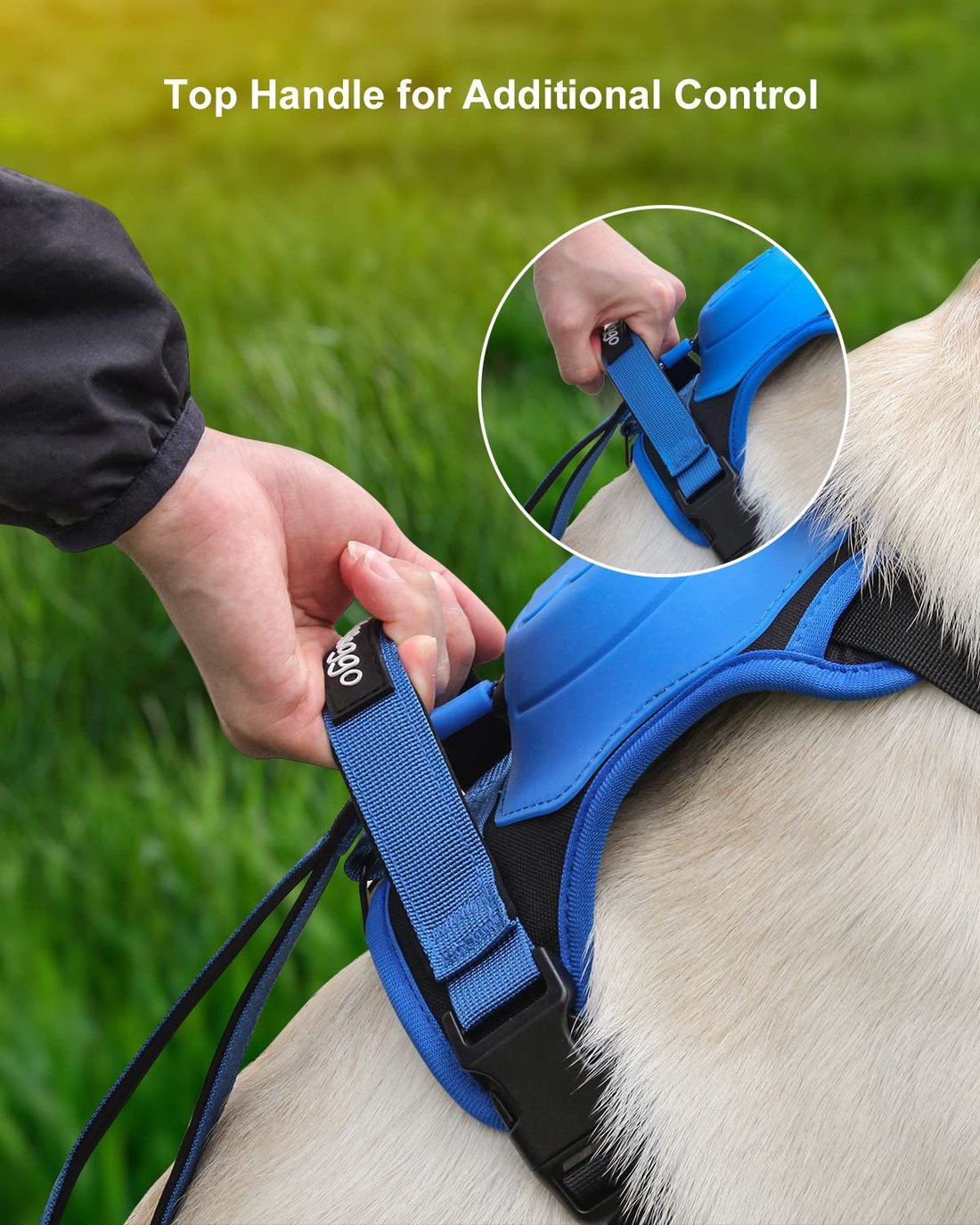 Dog Harness and Retractable Leash Set All-in-One