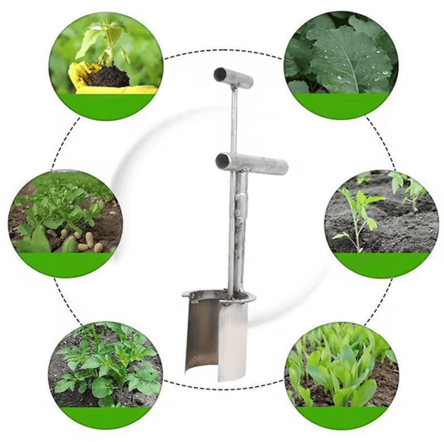 Hand held seedling transplanter
