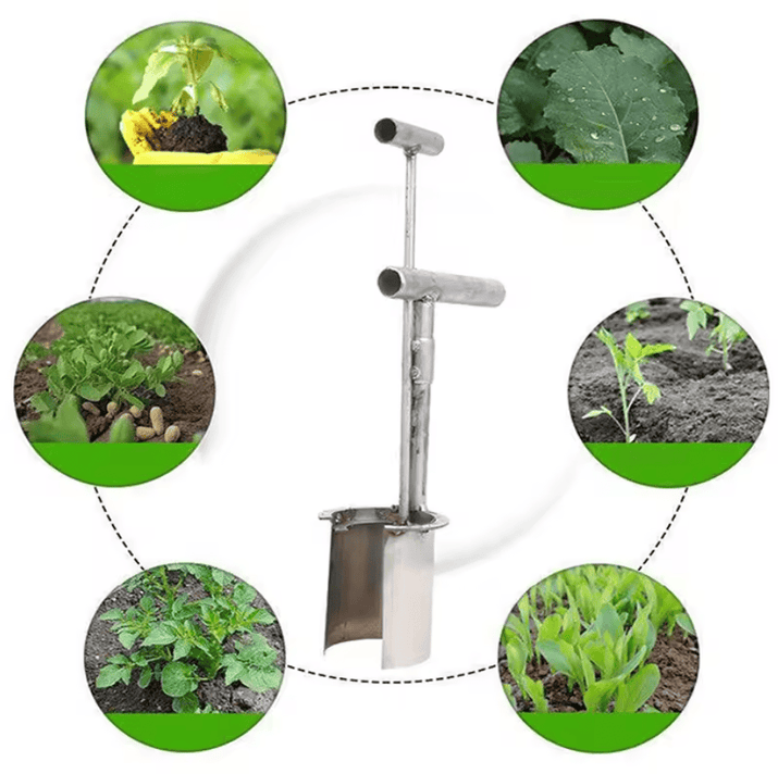 Hand held seedling transplanter