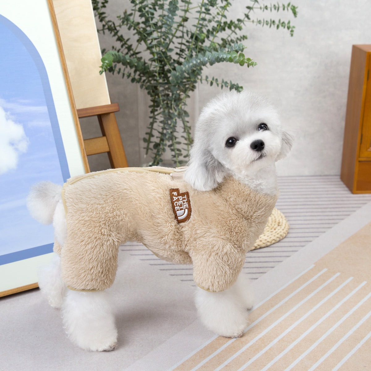 🐶 Winter Dog Jumpsuit Coat with Back Zipper