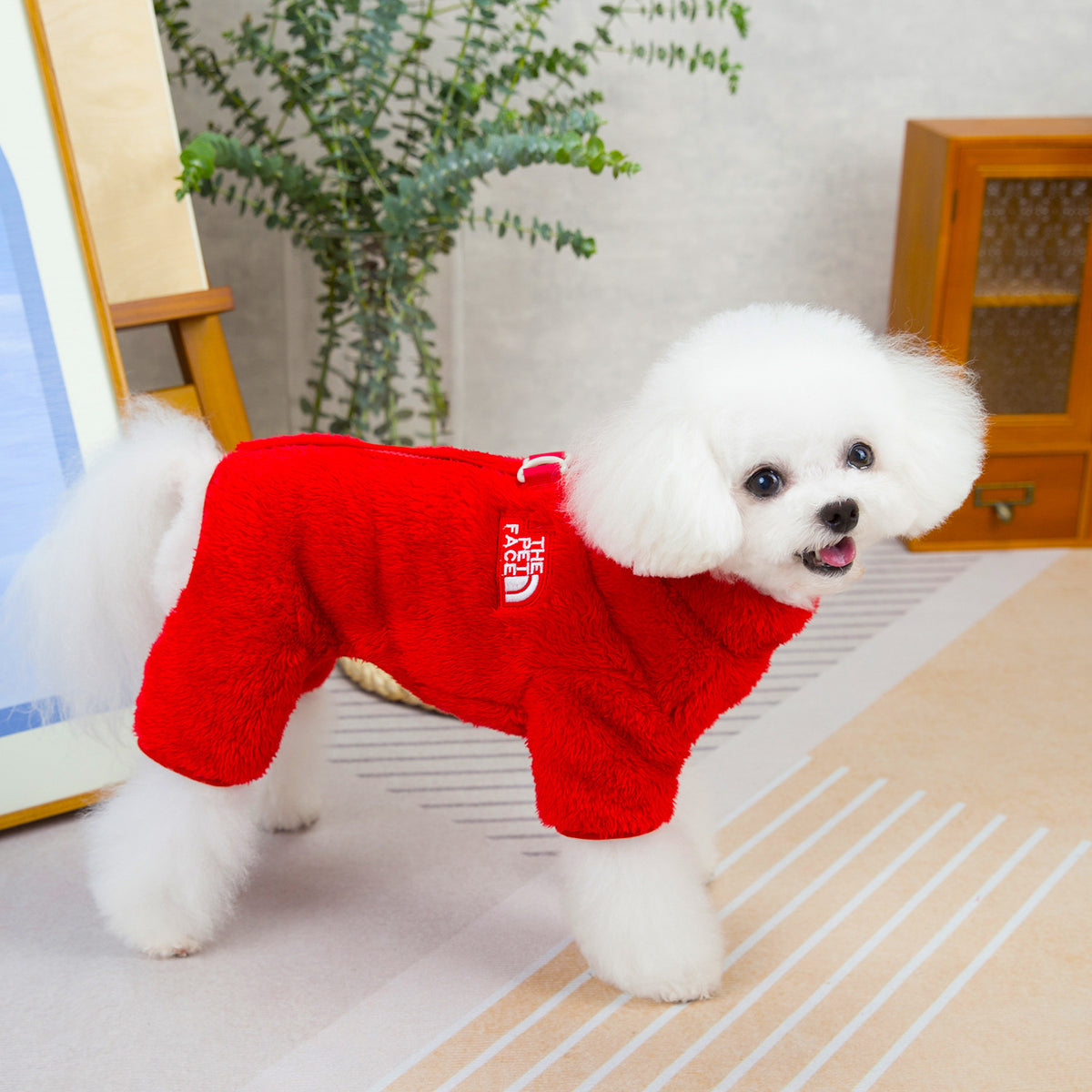 🐶 Winter Dog Jumpsuit Coat with Back Zipper