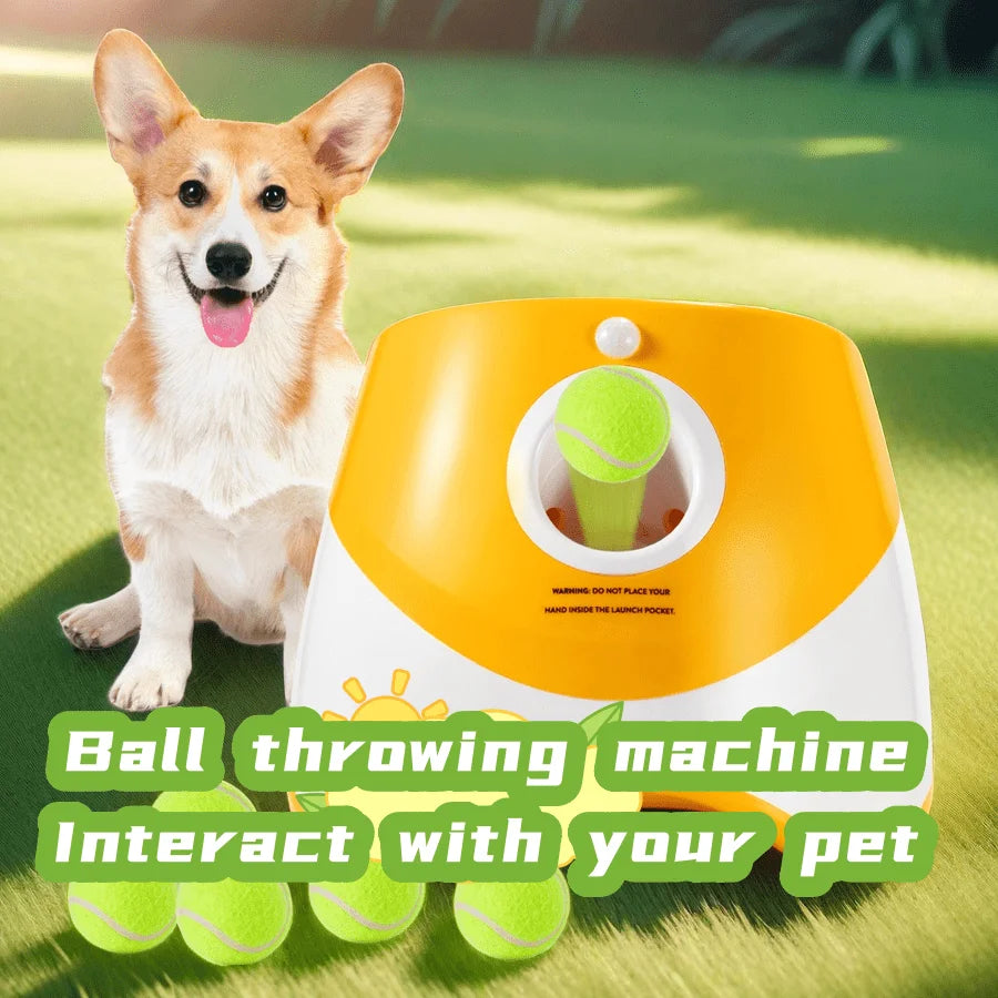 🎾 Ball Launcher Automatic Dogs