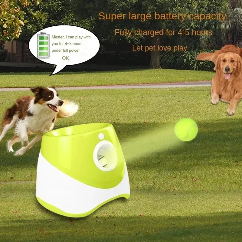 🎾 Ball Launcher Automatic Dogs