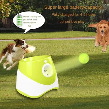 🎾 Ball Launcher Automatic Dogs