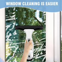 Rechargeable Window Vacuum Cleaner with Squeegee