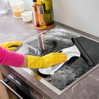 Rechargeable Window Vacuum Cleaner with Squeegee