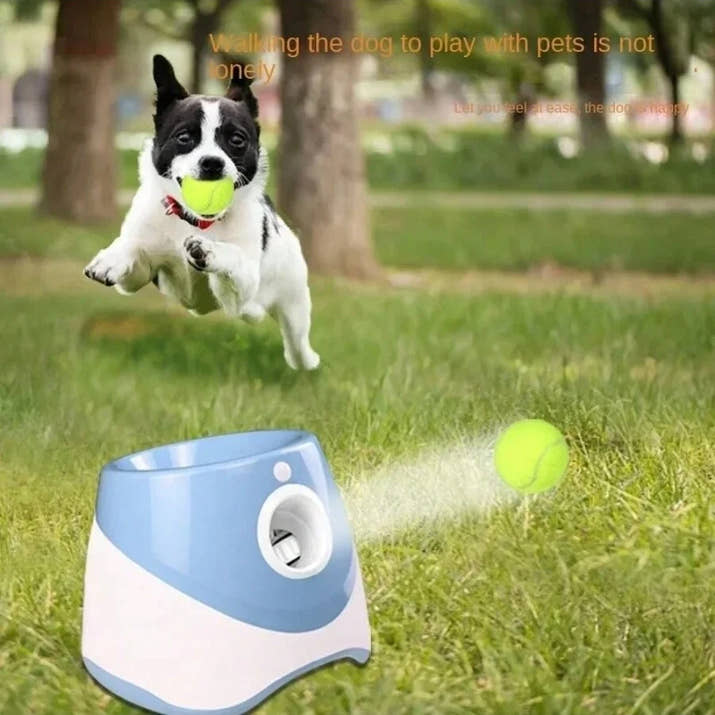 🎾 Ball Launcher Automatic Dogs