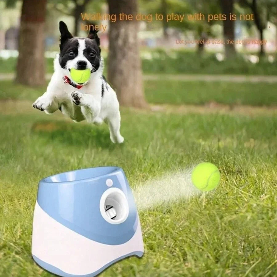 🎾 Ball Launcher Automatic Dogs