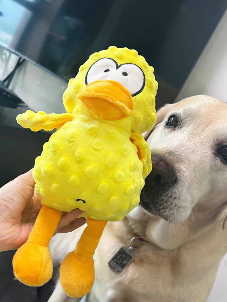 Calming Duck Toy by Zaho®