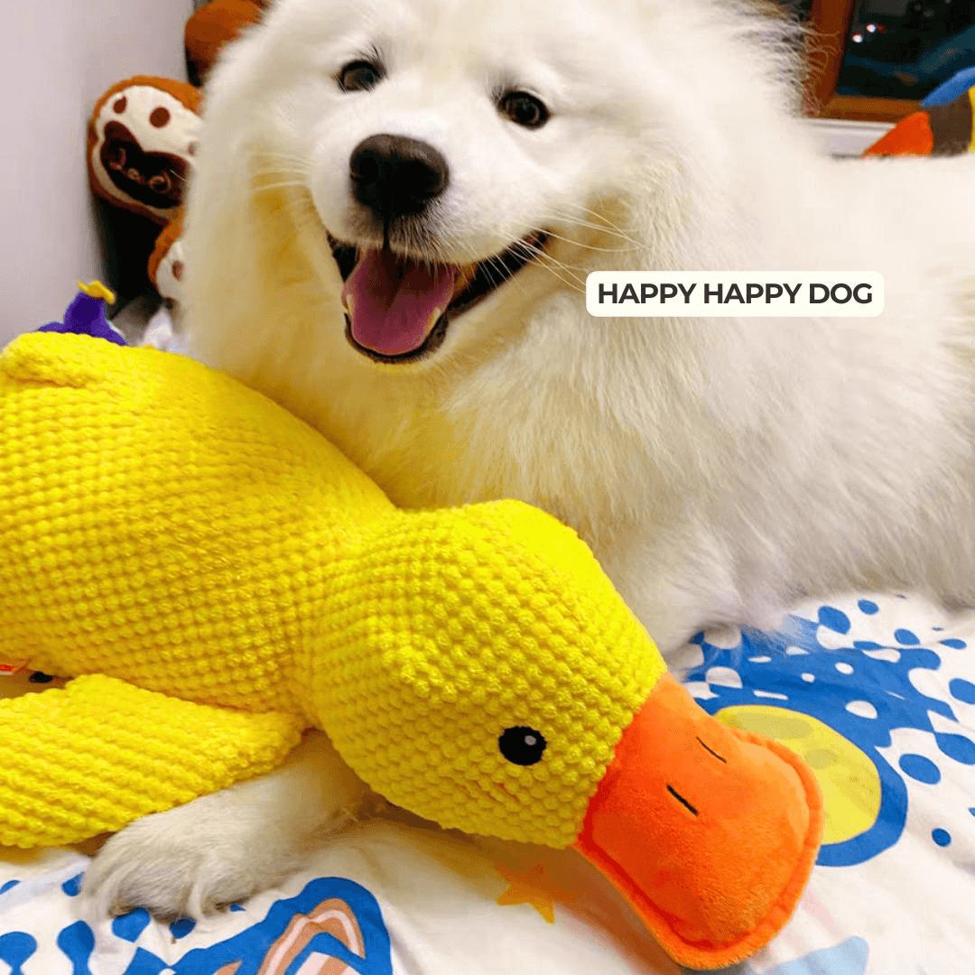 Calming Duck Toy by Zaho®