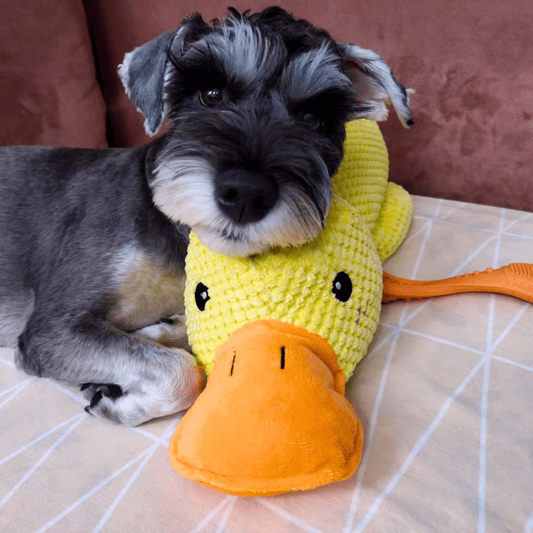 Calming Duck Toy by Zaho®