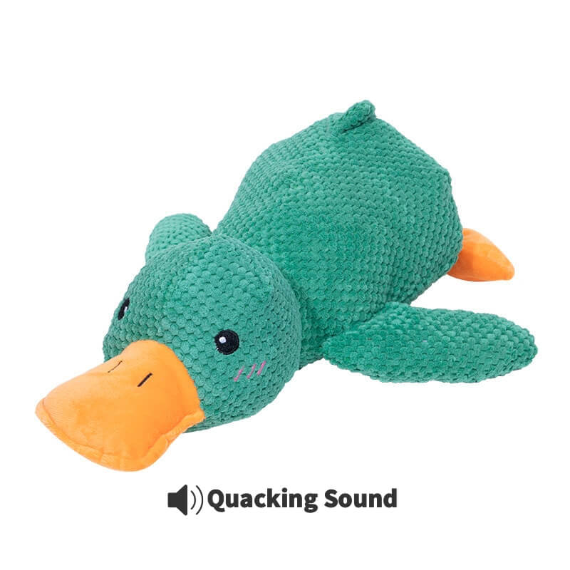 Calming Duck Toy by Zaho®