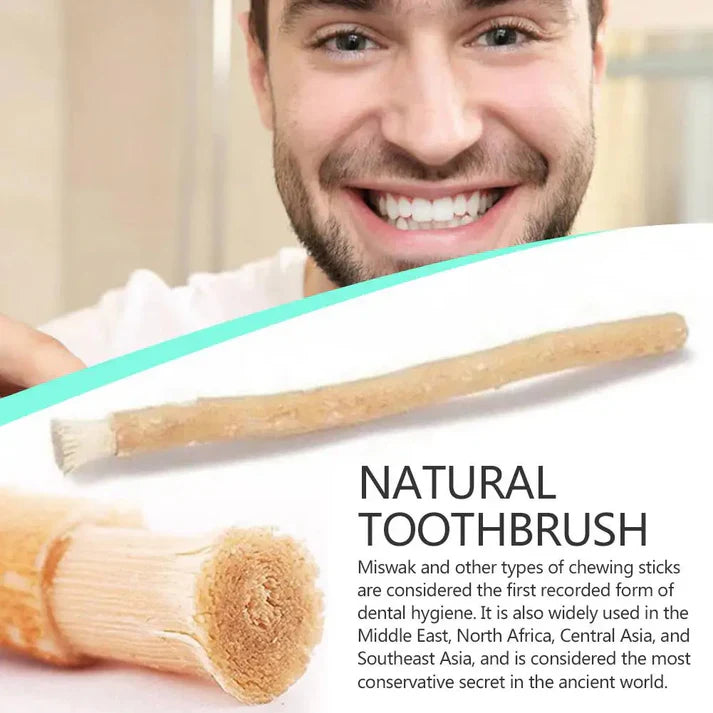 Miswak Toothbrush – Nature’s Original Toothbrush
