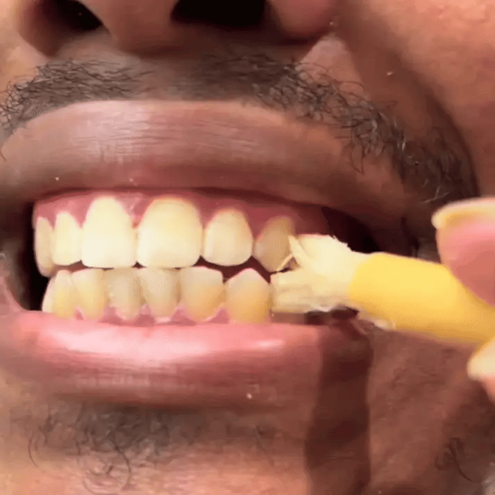 Miswak Toothbrush – Nature’s Original Toothbrush