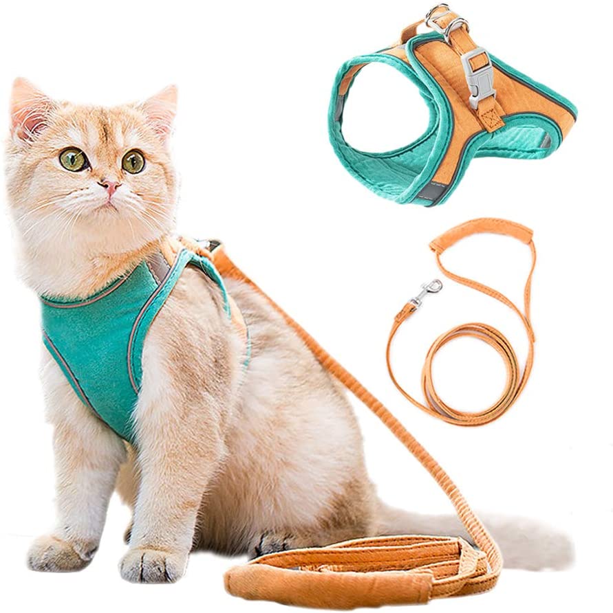 Luminous, Escape Proof Cat Vest Harness and Leash Set