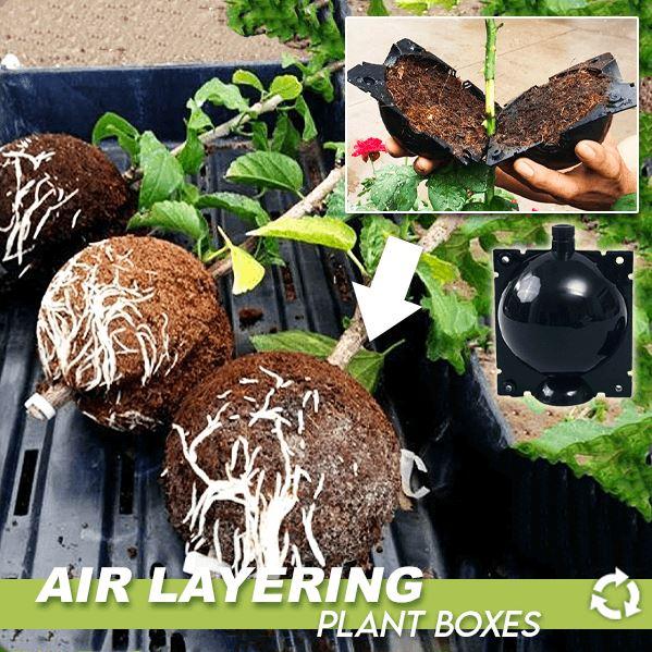 Air Layering Plant Boxes (3PCS)