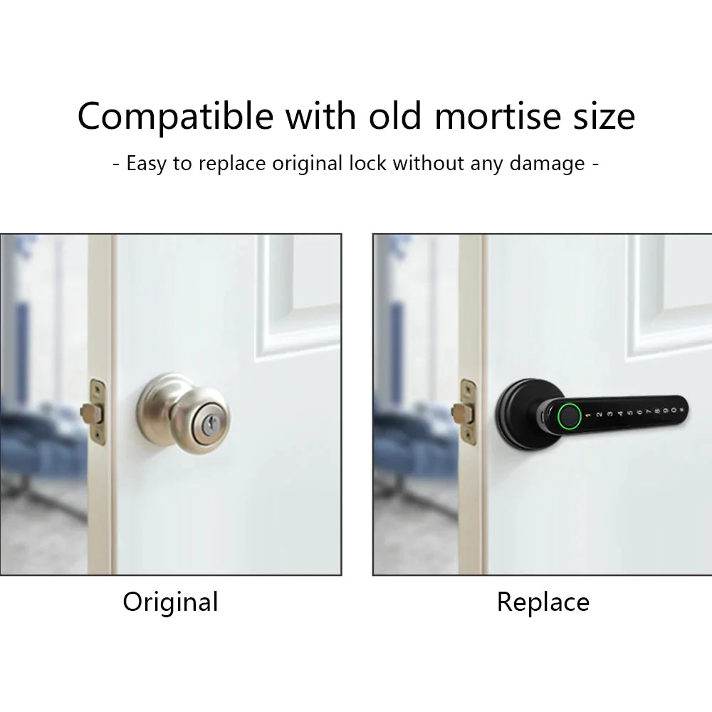 Fingerprint Door Handle