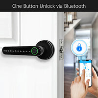 Fingerprint Door Handle