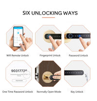 Fingerprint Door Handle