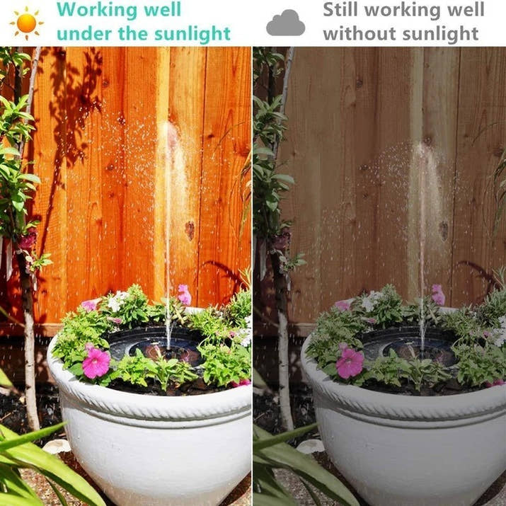 Solar-Powered Bird Fountain Kit