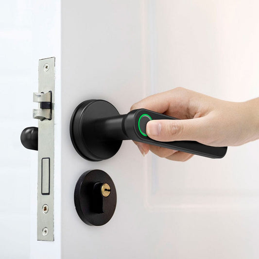 Fingerprint Door Handle