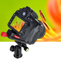 Wormdrive Macro Focusing Rail Slider