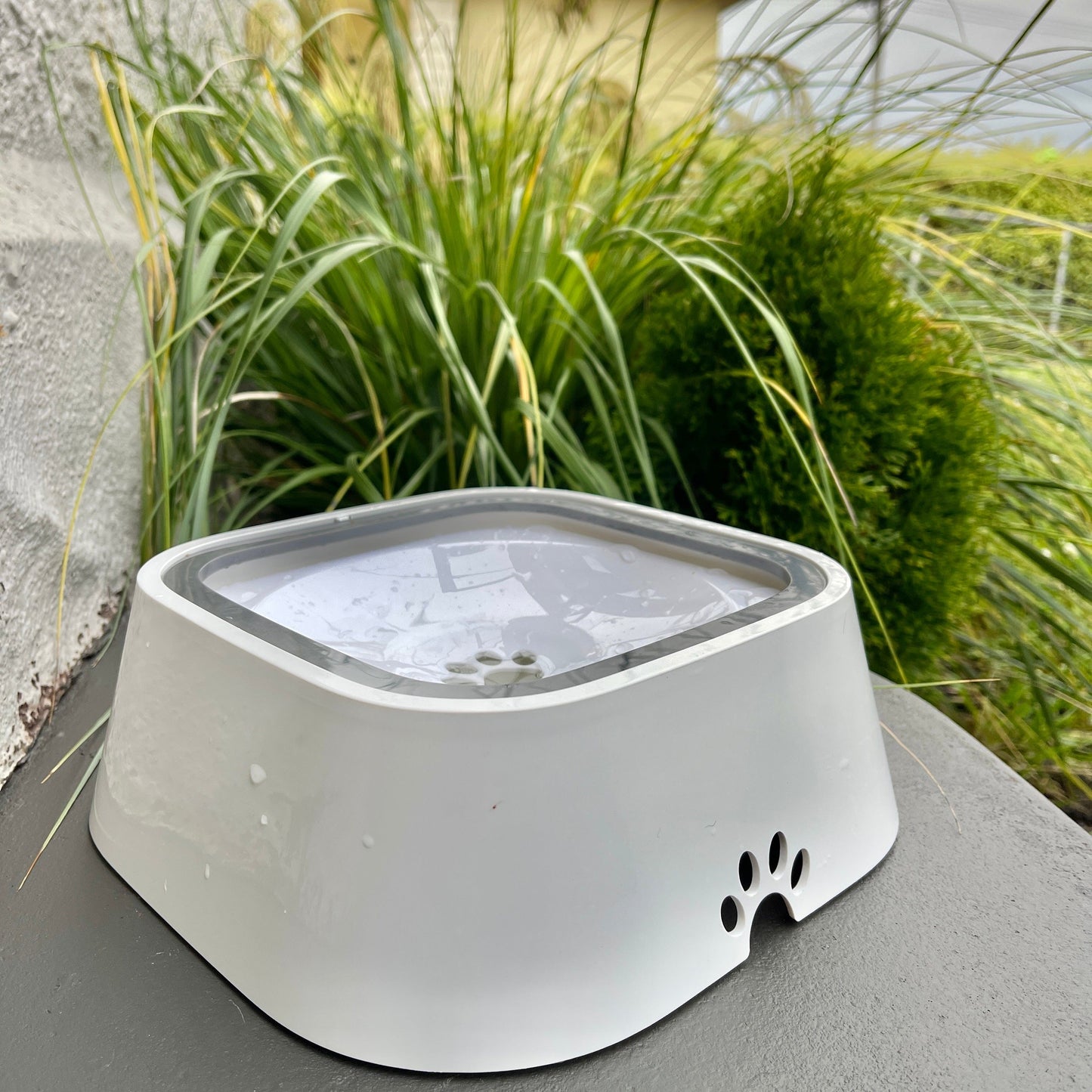 Zaho - DryBowl